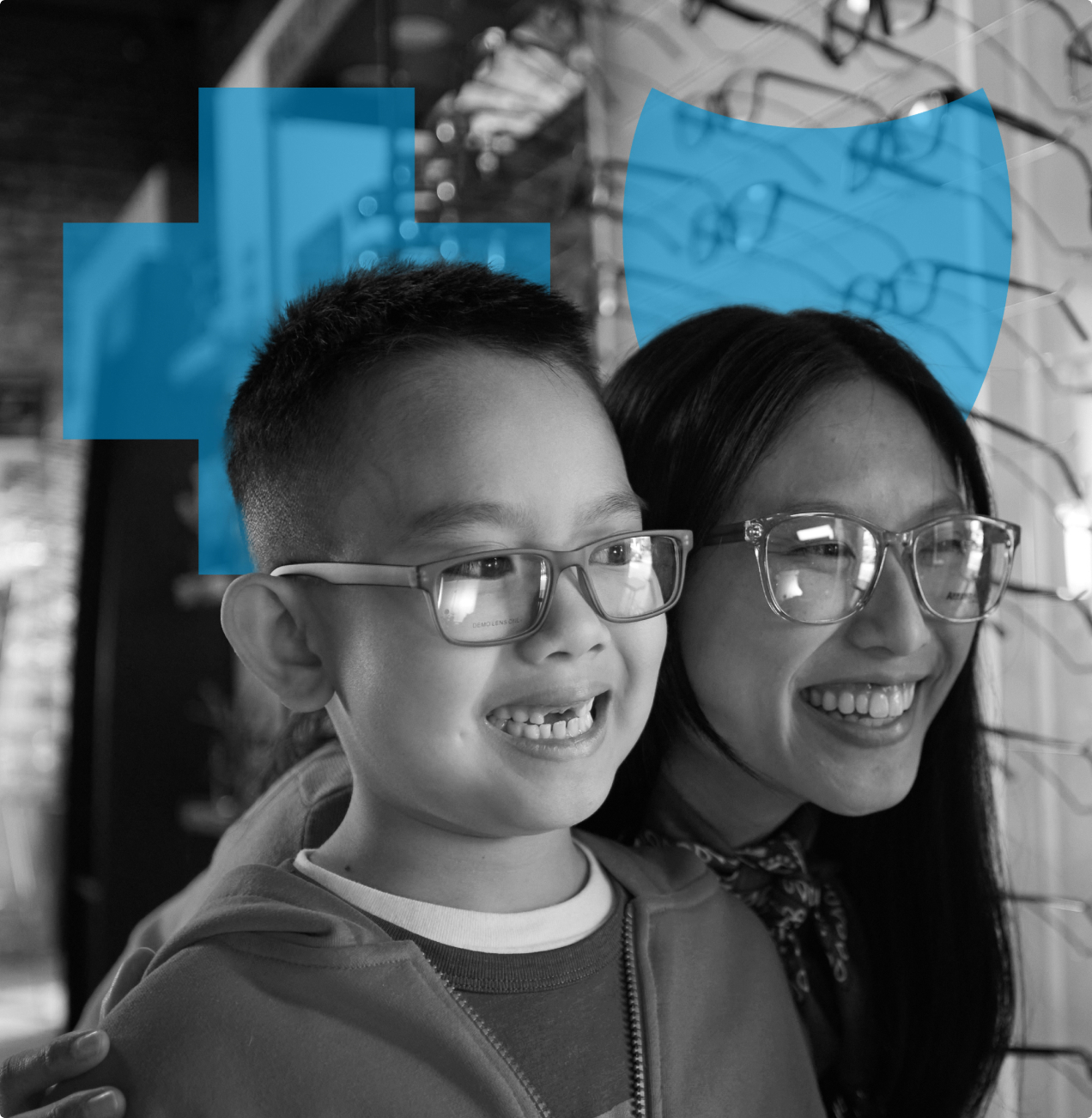 Fep vision blue cross and blue shield s federal employee program